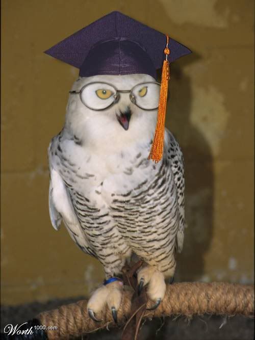 ��� ����� semttulo.jpg